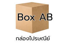 P013 - กล่อง น้ำตาล - AB (10 ชิ้น)
