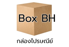 P015 - กล่อง น้ำตาล - BH (10 ชิ้น)